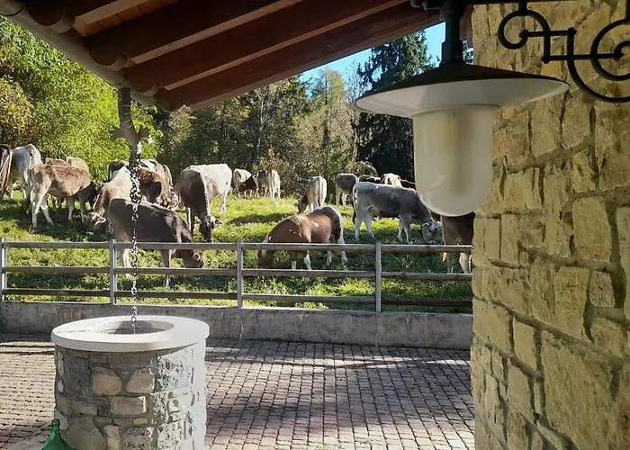 Vakantiehuis La Casa Di Angi