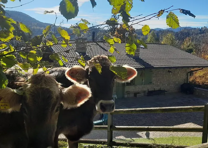 La Casa Di Angi Vakantiehuis Onore